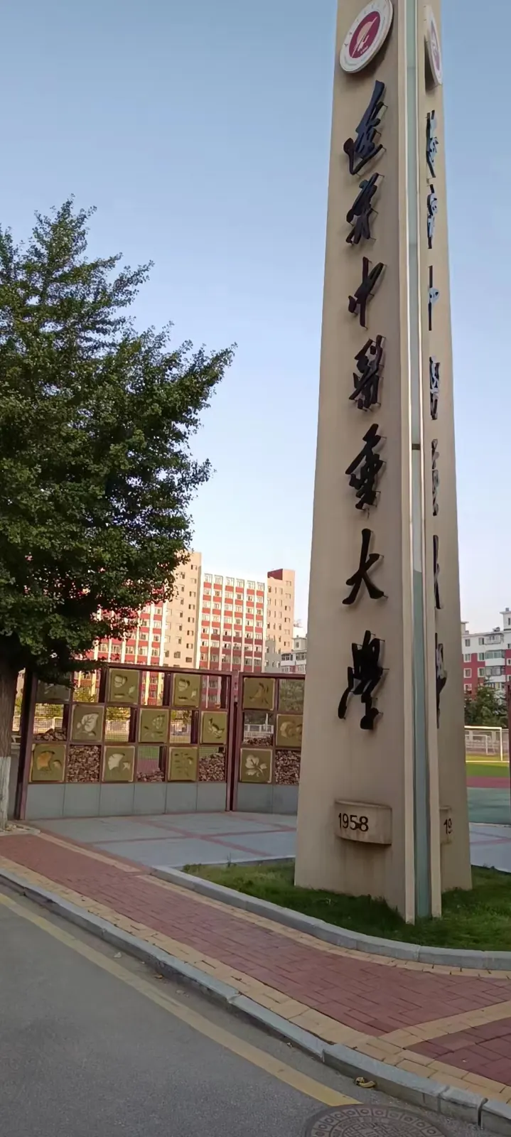 中创(辽宁)建设装饰工程有限公司 办公环境与团队活动实景 10